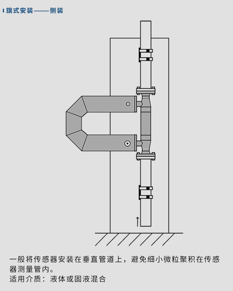 液體質量流量計垂直安裝示意圖