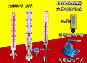 防爆磁翻板液位計